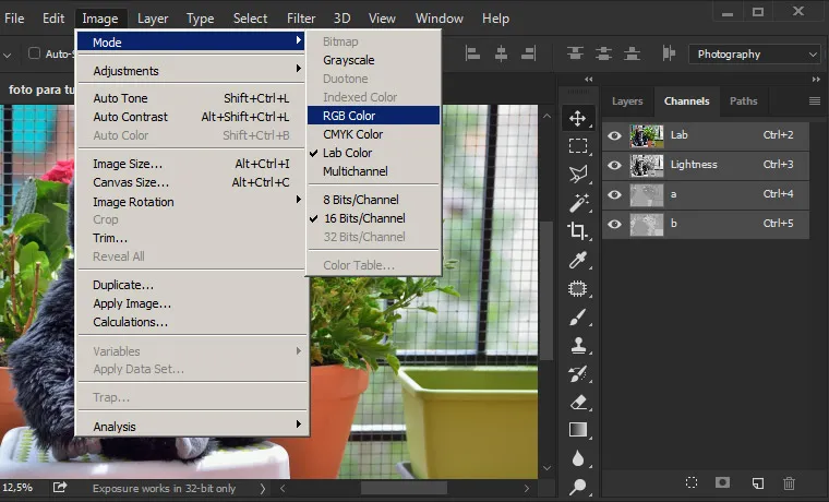 How to View an Image in Full Size on Getty Images: A Simple Guide