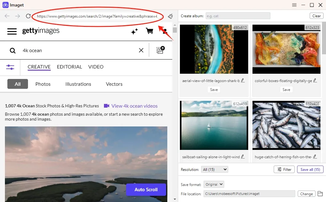 Best Getty Image Downloader in 2024 Bulk Download Getty Images  Imaget