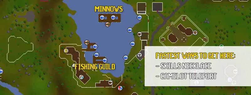 How to Get Into the Fishing Guild in OSRS