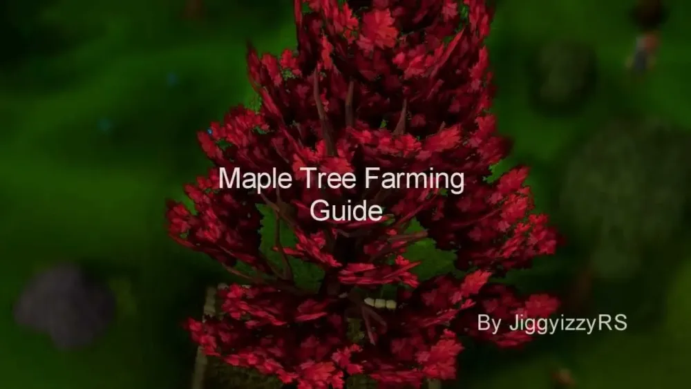 Maple Tree Farming Guide  Runescape  YouTube