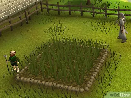 How to Farm Maple Trees in RuneScape 8 Steps with Pictures