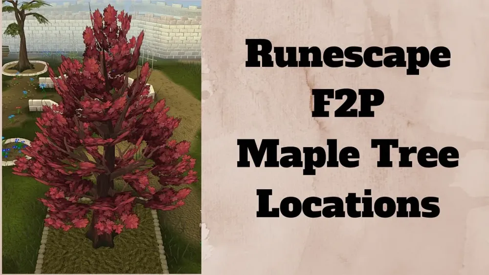 Discovering the Best Places for Maple Trees in OSRS