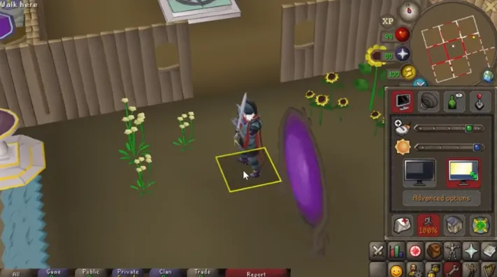 Exploring the Ornate Rejuvenation Pool in OSRS: Benefits and Usage