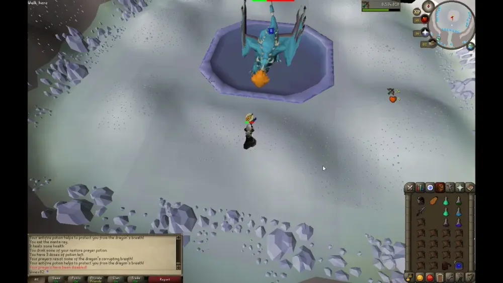 Osrs Vorkath Normal Speed Kill  YouTube