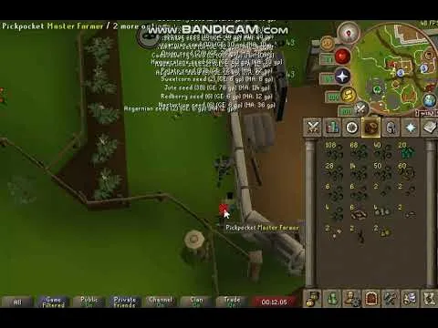 Pickpocketing Master Farmers OSRS  IRON MAN  YouTube