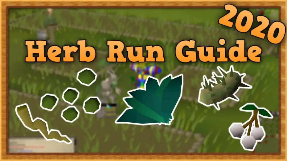 OSRS Herb Farming Guide 2020  YouTube