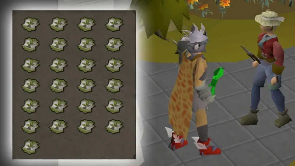 OSRS Maximize Profit from Farming Contracts  Loot From 25 Hard Seed 