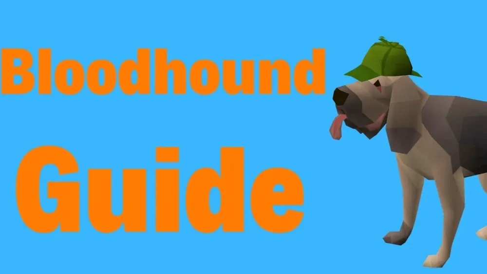 Master Clue Efficiency Guide BLOODHOUND GUIDE OSRS  YouTube