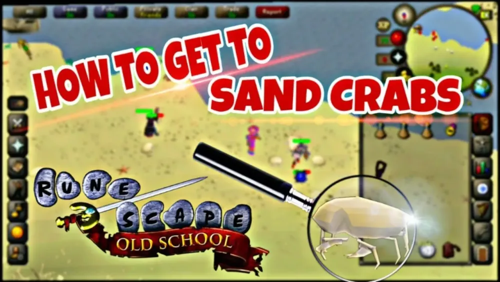 Discovering Sand Crabs Locations in OSRS