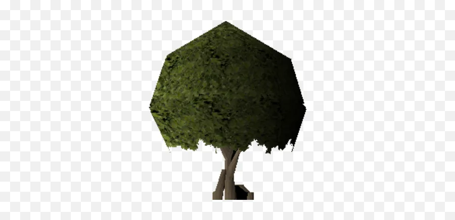 Swaying Tree Old School Runescape Wiki Fandom Png Witchwood Icon Rs3 