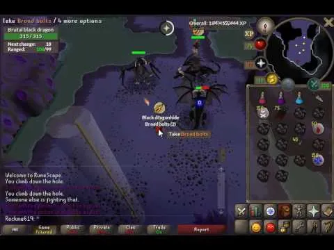 Dragon Hunter Crossbow vs Armadyl Crossbow  YouTube