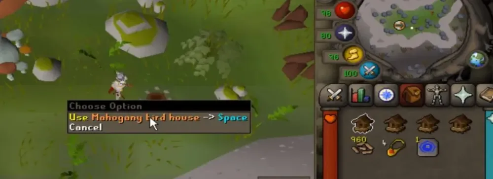 OSRS Birdhouse Guide With Fastest Route  NovaMMO