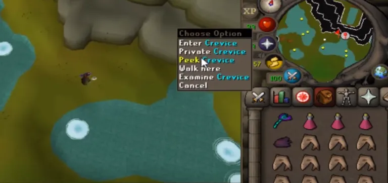 How to Get the Kraken Task in OSRS: A Comprehensive Guide