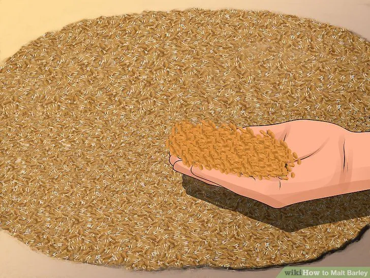 How to Get Barley Malt in OSRS