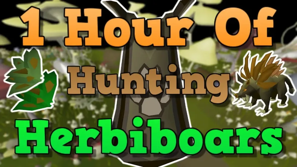 OSRS Herbiboar Hunting Guide 2021  YouTube
