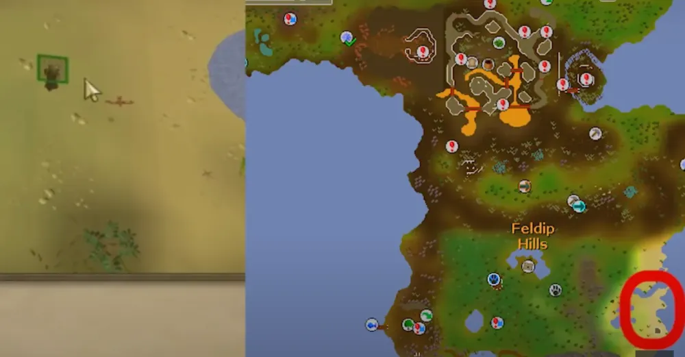 Ultimate Guide to Achieving 1-99 Hunter in OSRS