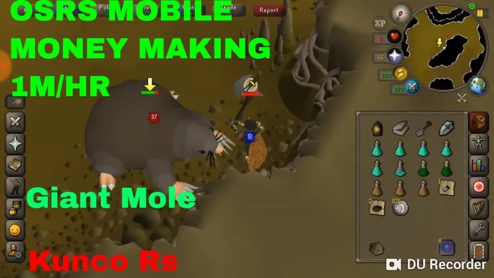 OSRS Mobile Giant Mole Guide 1MHr and How to Kill the Mole  2007scape