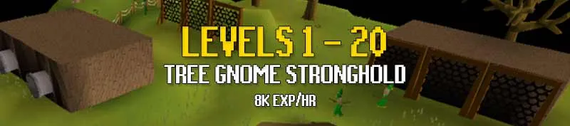 199 Complete Agility Guide OSRS fastest way  OSRS Guide