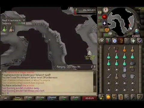 Ultimate Guide to Wilderness Slayer Bears in OSRS