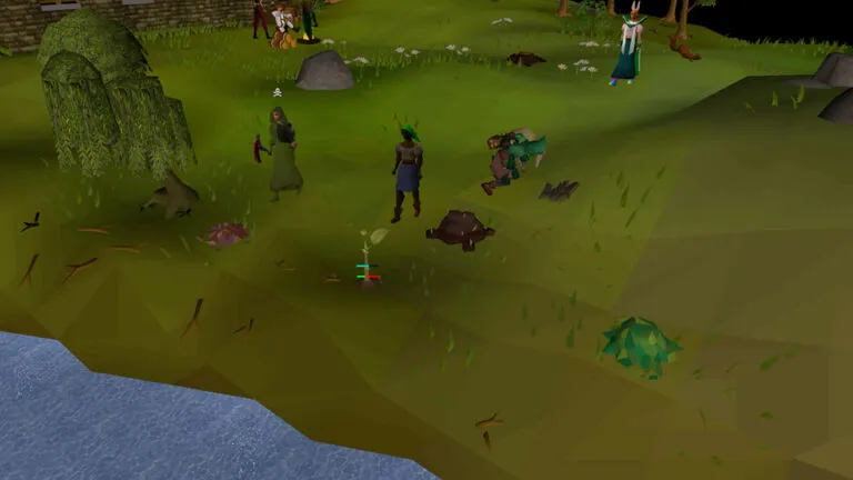 OSRS Forestry Update Woodcutting Rework Explained