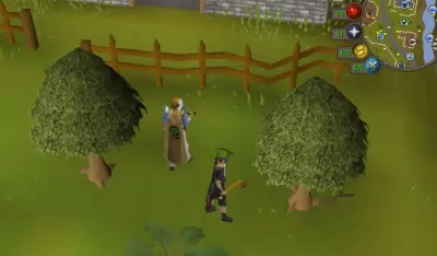 Mastering Woodcutting in OSRS: The Best Methods to Level Up Fast