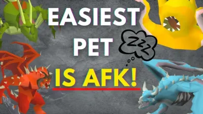 Everything You Need to Know About OSRS Pets in the Game