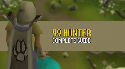 Mastering OSRS Magic Bird House: Tips and Tricks