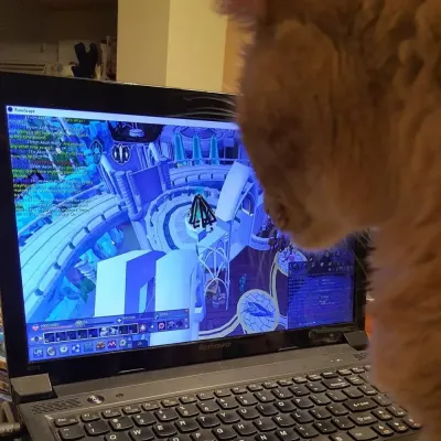 How to Have a Conversation with a Cat in OSRS