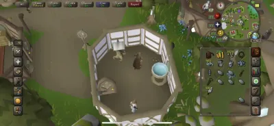 Everything You Need to Know About the Eternal Crystal Teleport Seed in OSRS