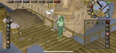 How to Get Molch Pearls in OSRS
