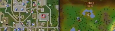 Ultimate Guide to Feldip Weasels in OSRS