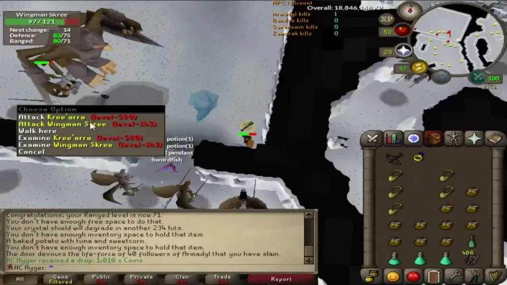 Ultimate OSRS Kree’arra Guide: Strategies, Tips, and Gear