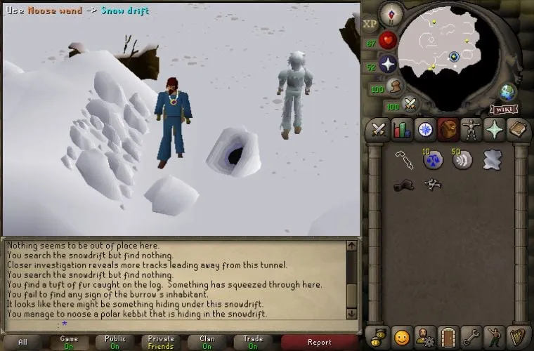 Ultimate OSRS Hunting Training Guide: Level Up Your Skills Efficiently
