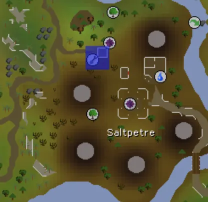 Everything You Need to Know About the OSRS Spirit Tree Patch