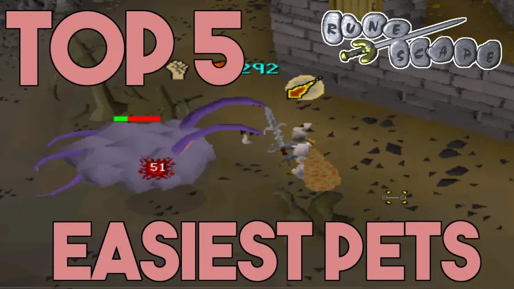 Top 5 Easiest Pets to Get in OSRS  YouTube