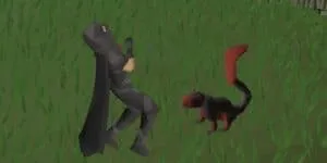 Is Graceful Worth It in OSRS? A Comprehensive Guide