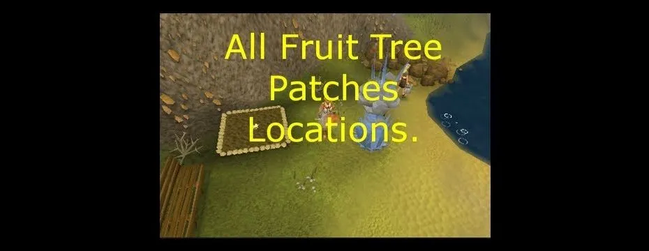 Understanding OSRS Disease Free Patches: A Comprehensive Guide