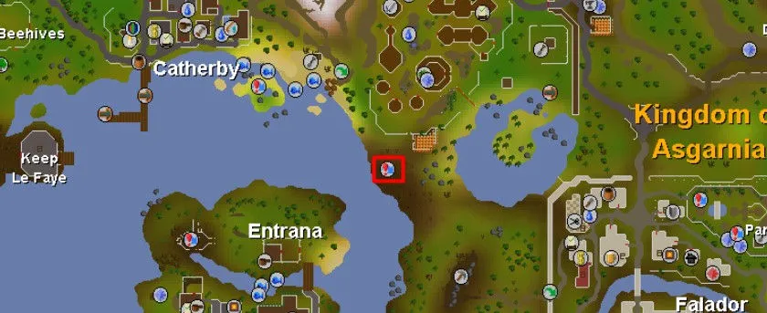 Everything You Need to Know About the Black Demon Task in OSRS