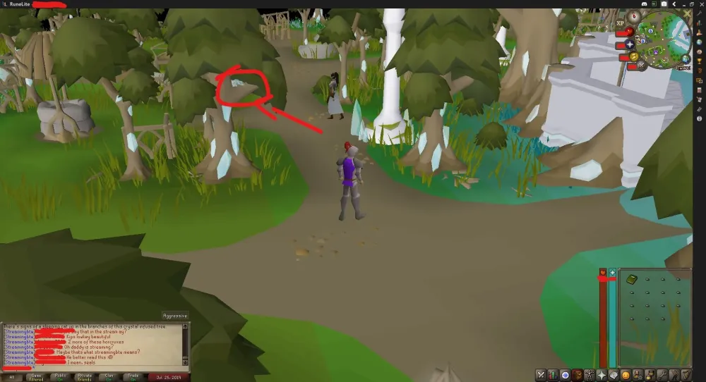Crystal Cat Confirmed for OSRS  read examine text and title is 