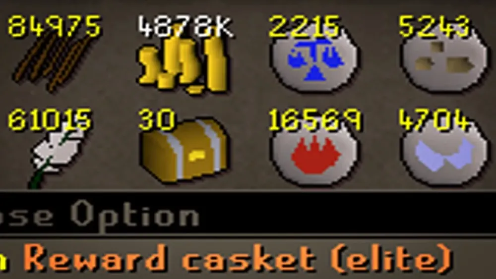 ARE ELITE CLUES WORTH DOING OSRS Twisted League 33  YouTube