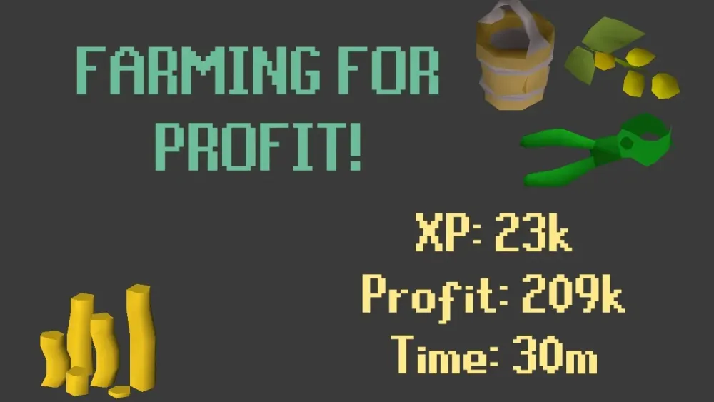 OSRS Profitable extended farming runs Ultracompost Hops Herbs and 