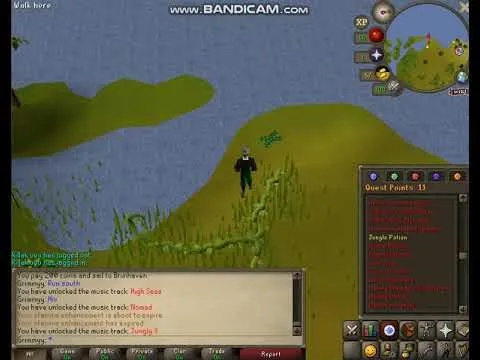 Everything You Need to Know About the Jungle Potion Quest in OSRS