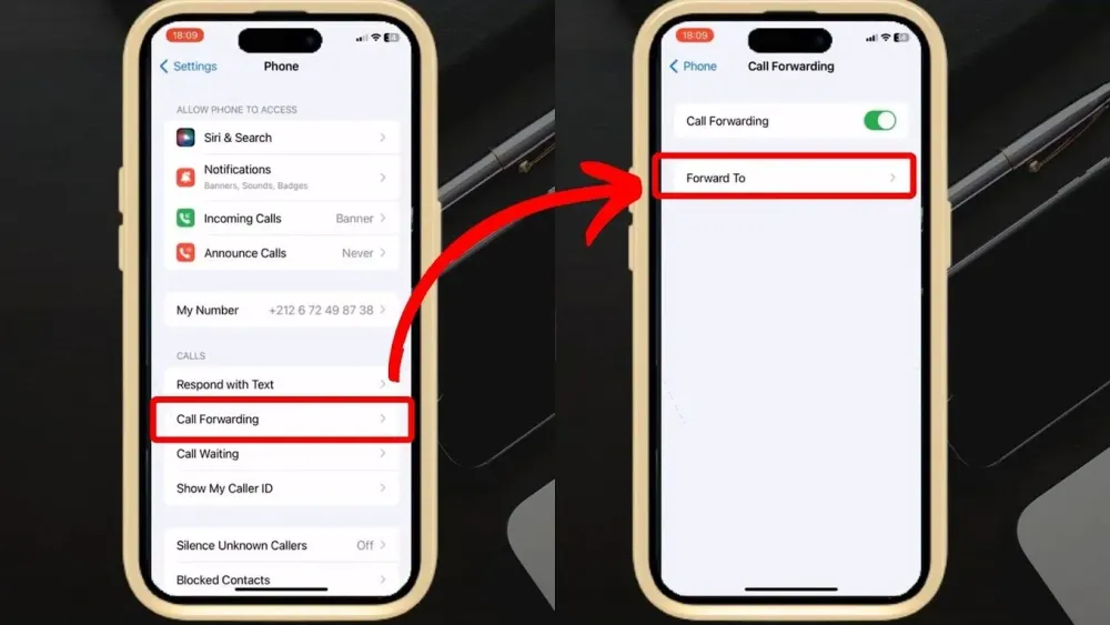 5 Ways to Stop Calls on iPhone Without Blocking Contact  Alvaro 