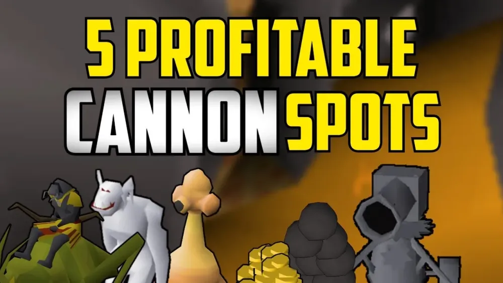 OSRS  Top 5 Profitable Cannon Spots Make Money While Training Range 