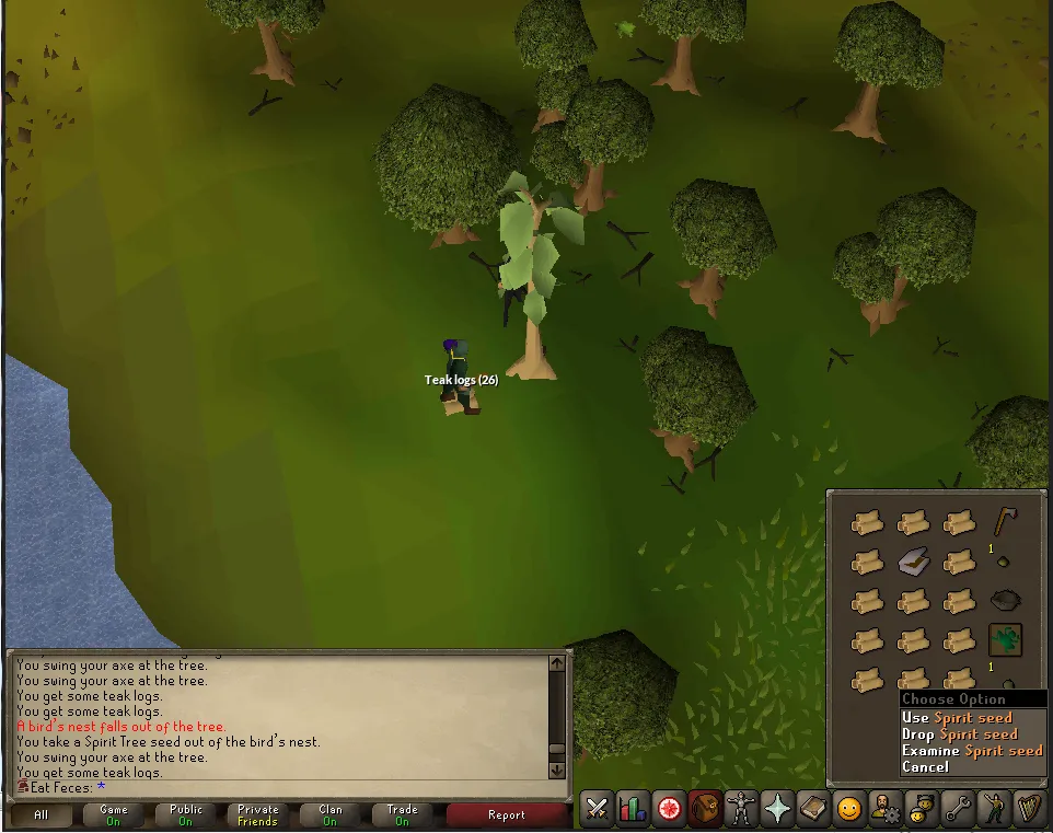 Best Way to Get Spirit Seeds in OSRS