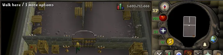 How to Identify the Back of the Over-Acting Brother in OSRS