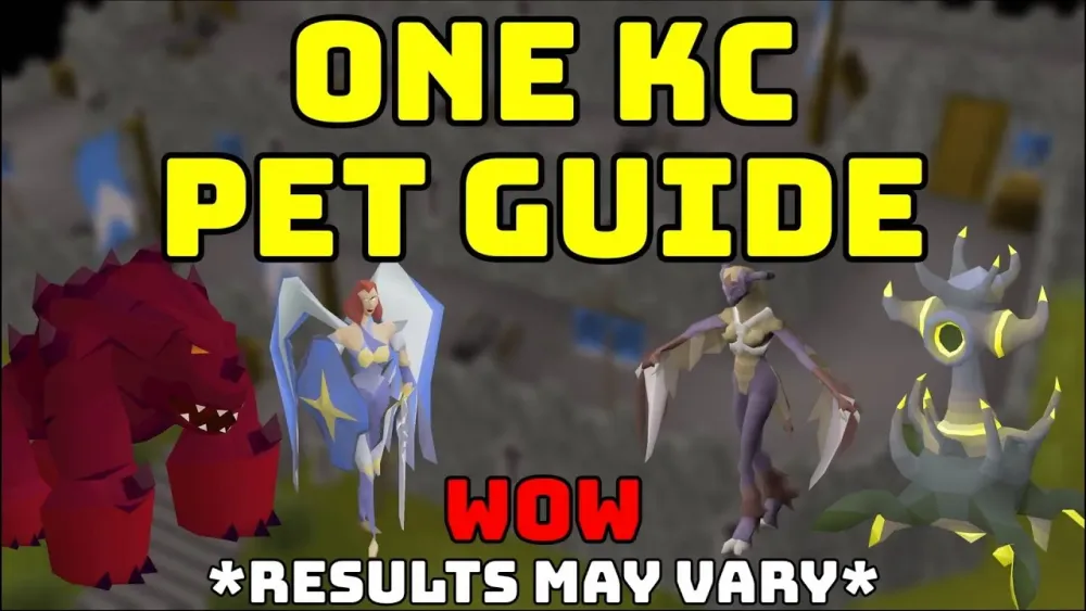 How to Find NPCs for Pet Checking in OSRS