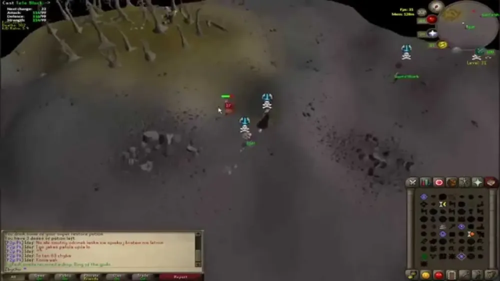 Understanding the Ring of the Gods in OSRS: A Comprehensive Guide