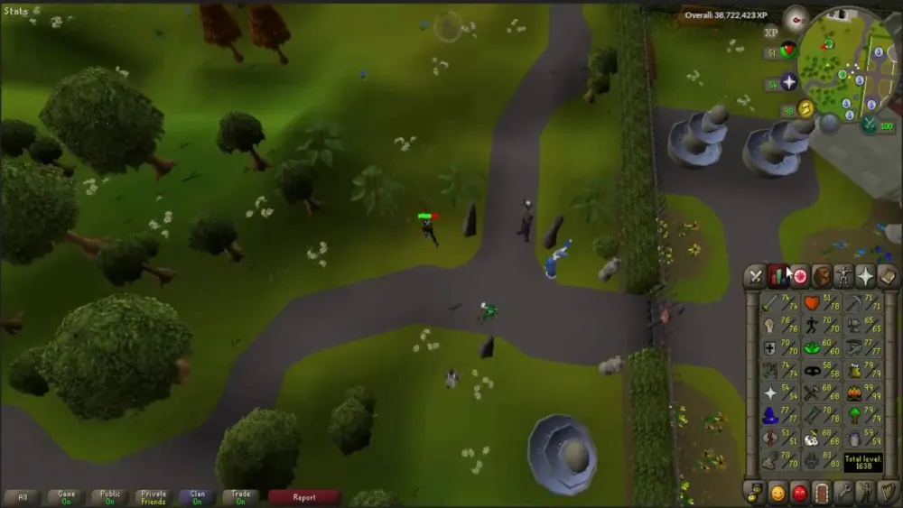 THE RNG  Osrs Ironman Progress  YouTube