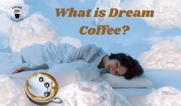 Explore of Understanding Dream Coffee in our comprehensive guide 